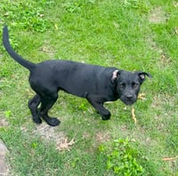 Scout Rey - Photo 2