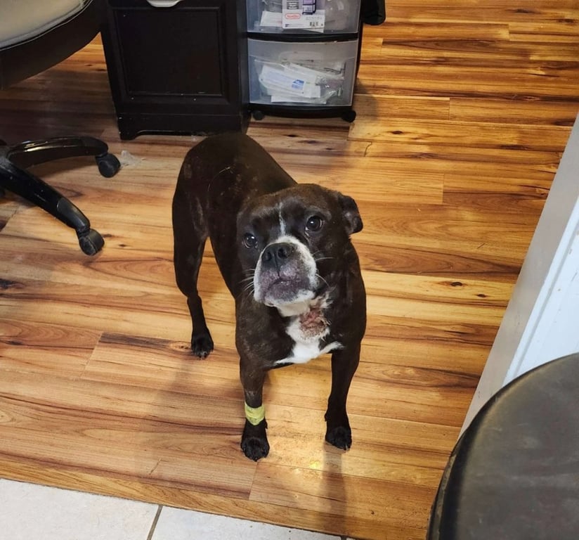 Emma Image