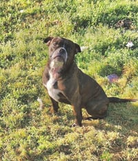 Emma - Photo 3