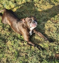 Emma - Photo 4