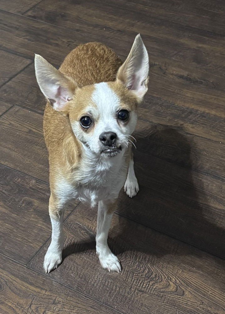 Duke Dunkin - Photo 3