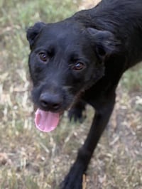 Millie - Photo 3