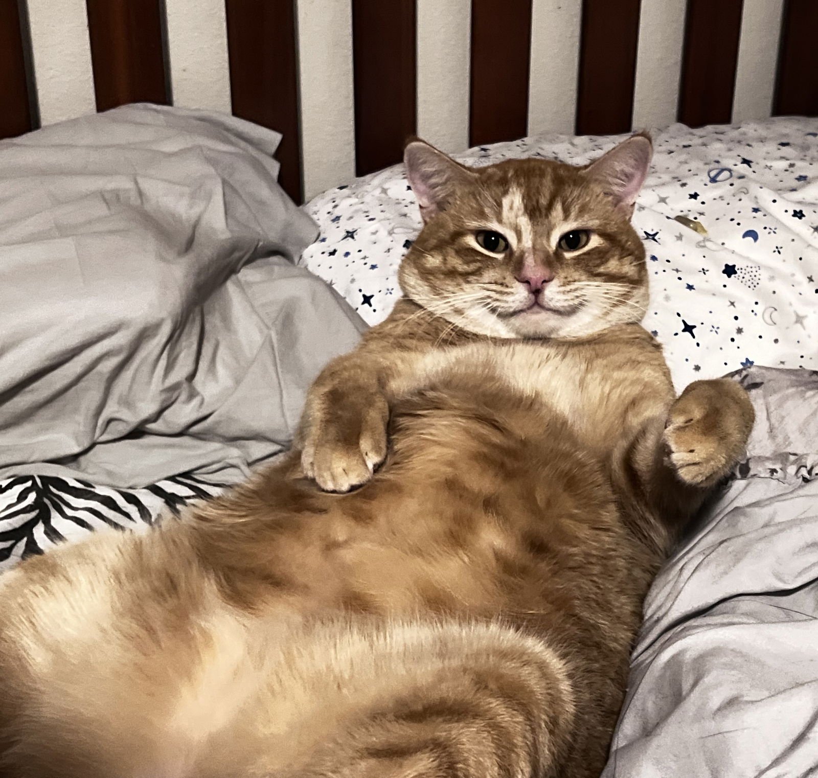 Niall #more-to-hug - Photo 3