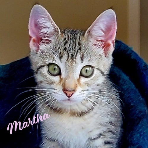MARTHA #WINSOME-FIVESOME