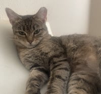 Rosita #calm-bedfellow - Photo 4