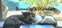 Bunnelby #gentle-wallflower - Photo 2