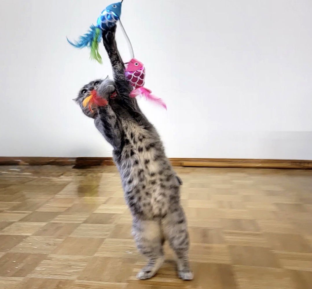 Neytiri #warrior-princess - Photo 3