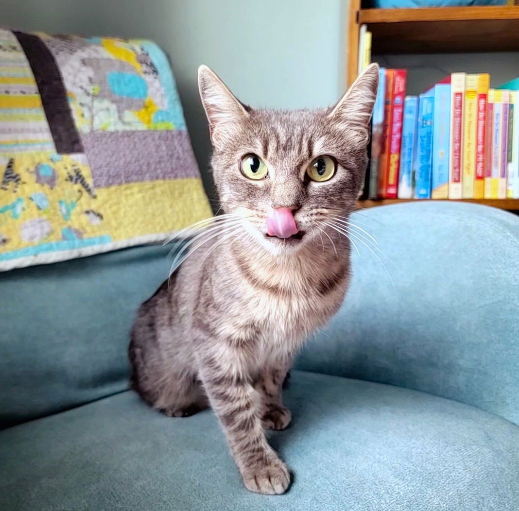 Neytiri #warrior-princess - Photo 4