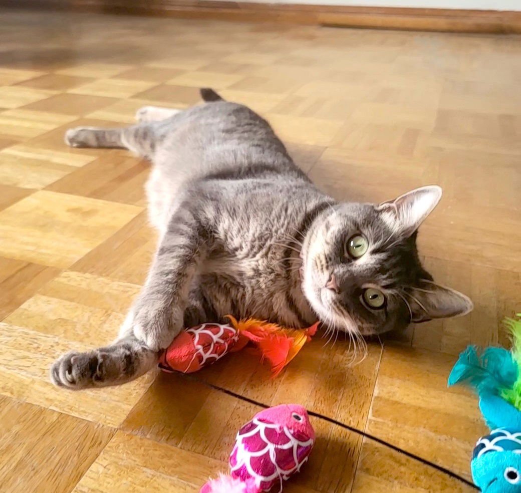 Neytiri #warrior-princess - Photo 5