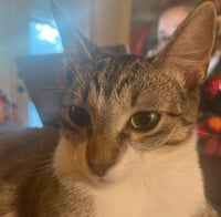 Rye #sister-of-Milly - Photo 4