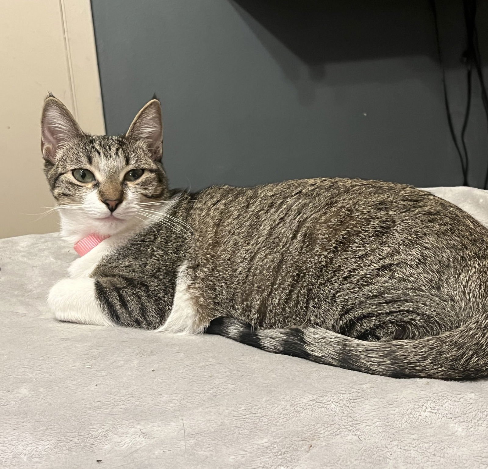 Rye #sister-of-Milly - Photo 3