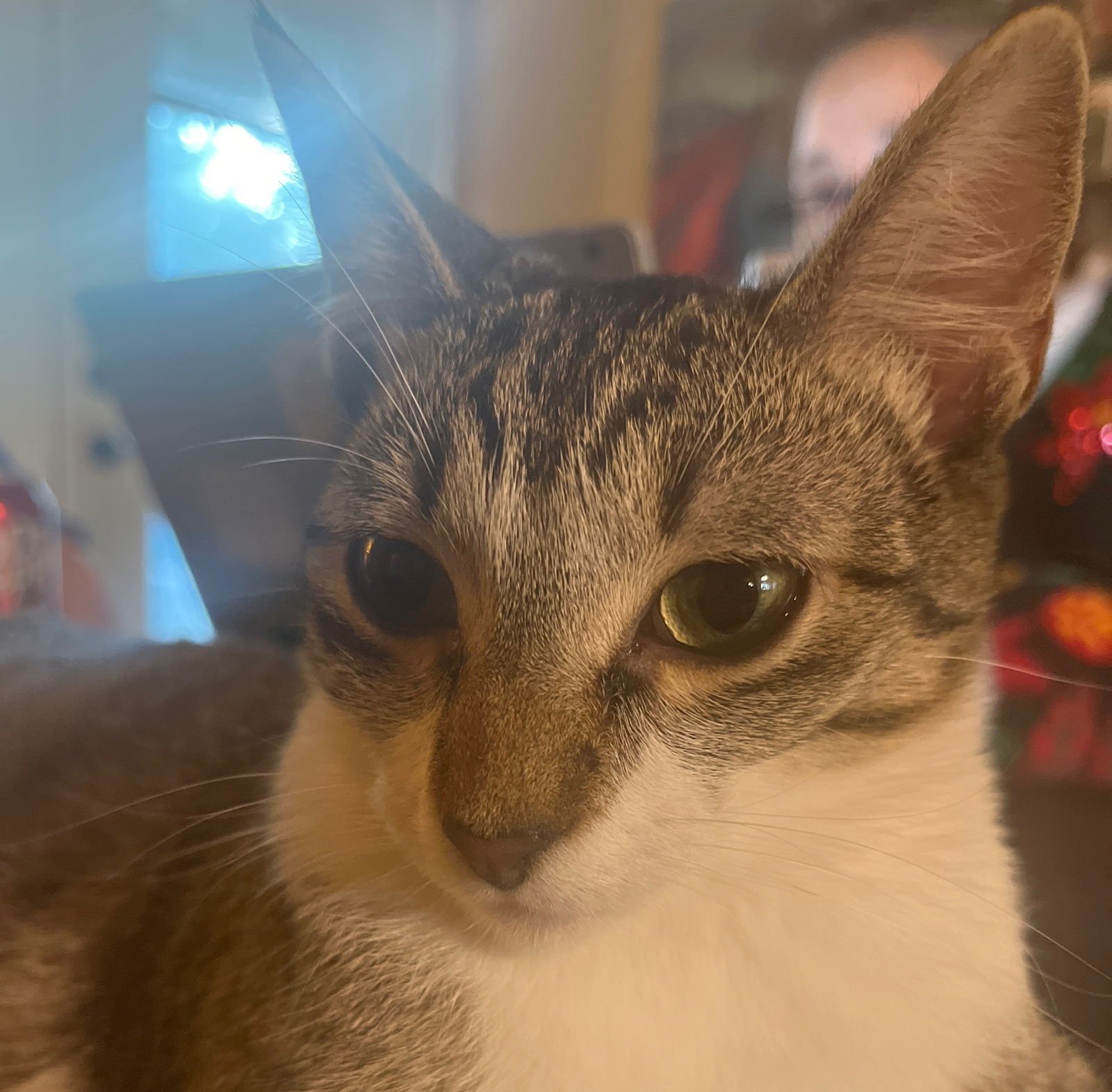 Rye #sister-of-Milly - Photo 4