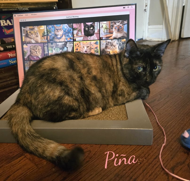 Pina #bonded-to-Buddy Image