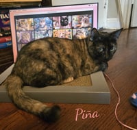 Pina #bonded-to-Buddy - Photo 1