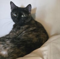 Pina #bonded-to-Buddy - Photo 5