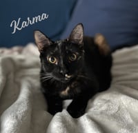 Karma #bonded-to-Jasper - Photo 1