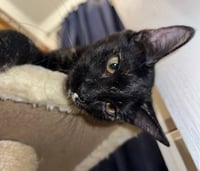 Karma #bonded-to-Jasper - Photo 10
