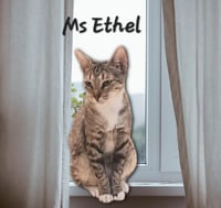 Ms Ethel #low-maintenance - Photo 3