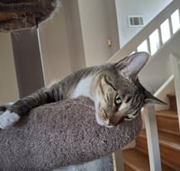 Ms Ethel #low-maintenance - Photo 4