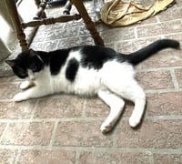 Felix #enjoys-kids - Photo 3