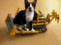 Achilles #retired-dumpster-diver - Photo 9