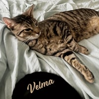 Velma Dinkley #sister-of-Daphne - Photo 8