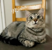 Micha #trusting-&-loving - Photo 1