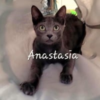 Anastasia #sun-seeker - Photo 1