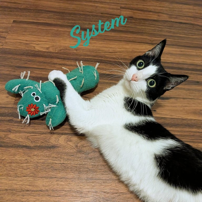 Bug #cuddle-queen Image