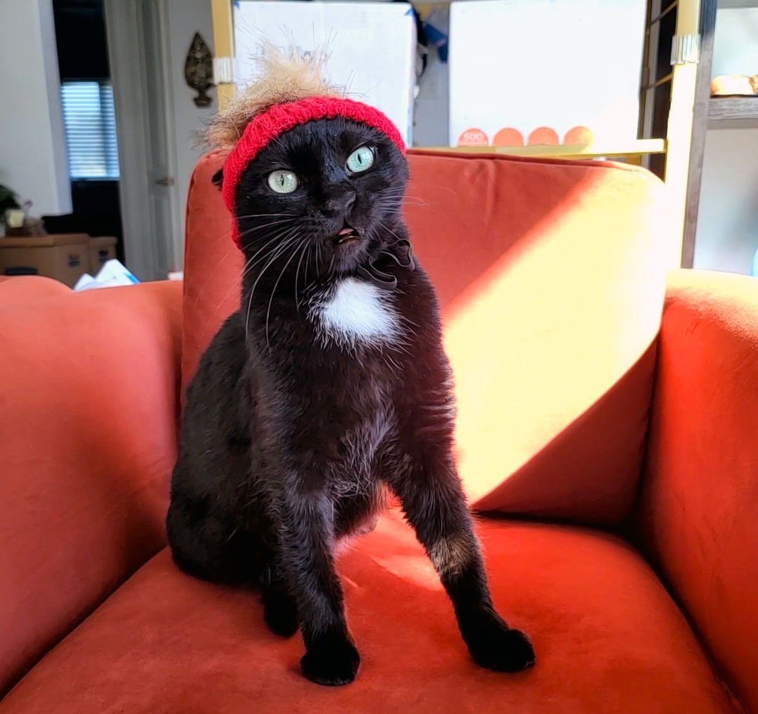 Mr. Wiggles #stop-plop-jiggle - Photo 5