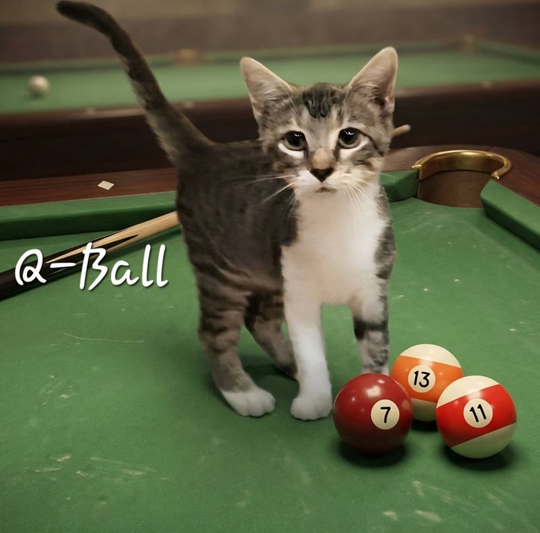 Q-Ball #the-speedster Image