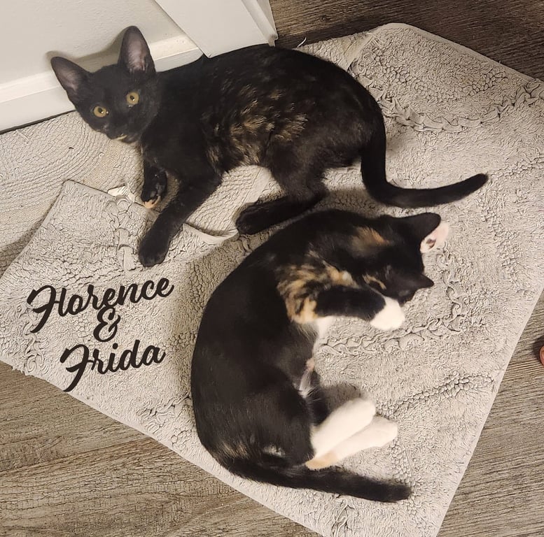 Florence & Frida #bonded-sisters Image