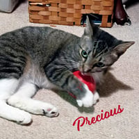 Precious #cutie-pie - Photo 1