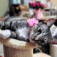 Precious #cutie-pie - Photo 2