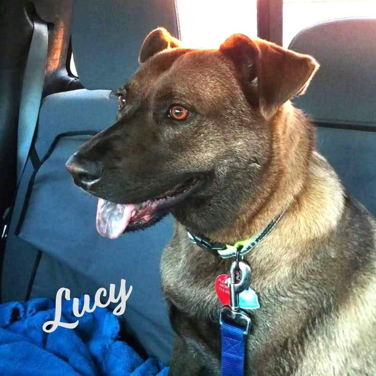 Lucy #great-with-children Image