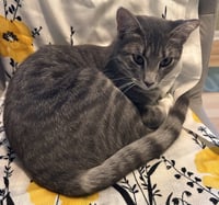 April #snuggle-queen - Photo 3