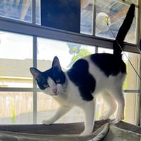 Mars #bestie-of-Neptune - Photo 3