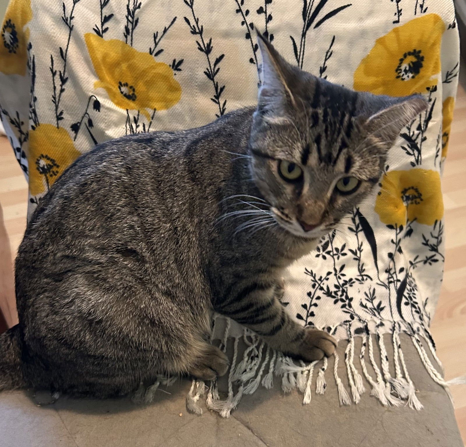 May #personality-plus - Photo 3