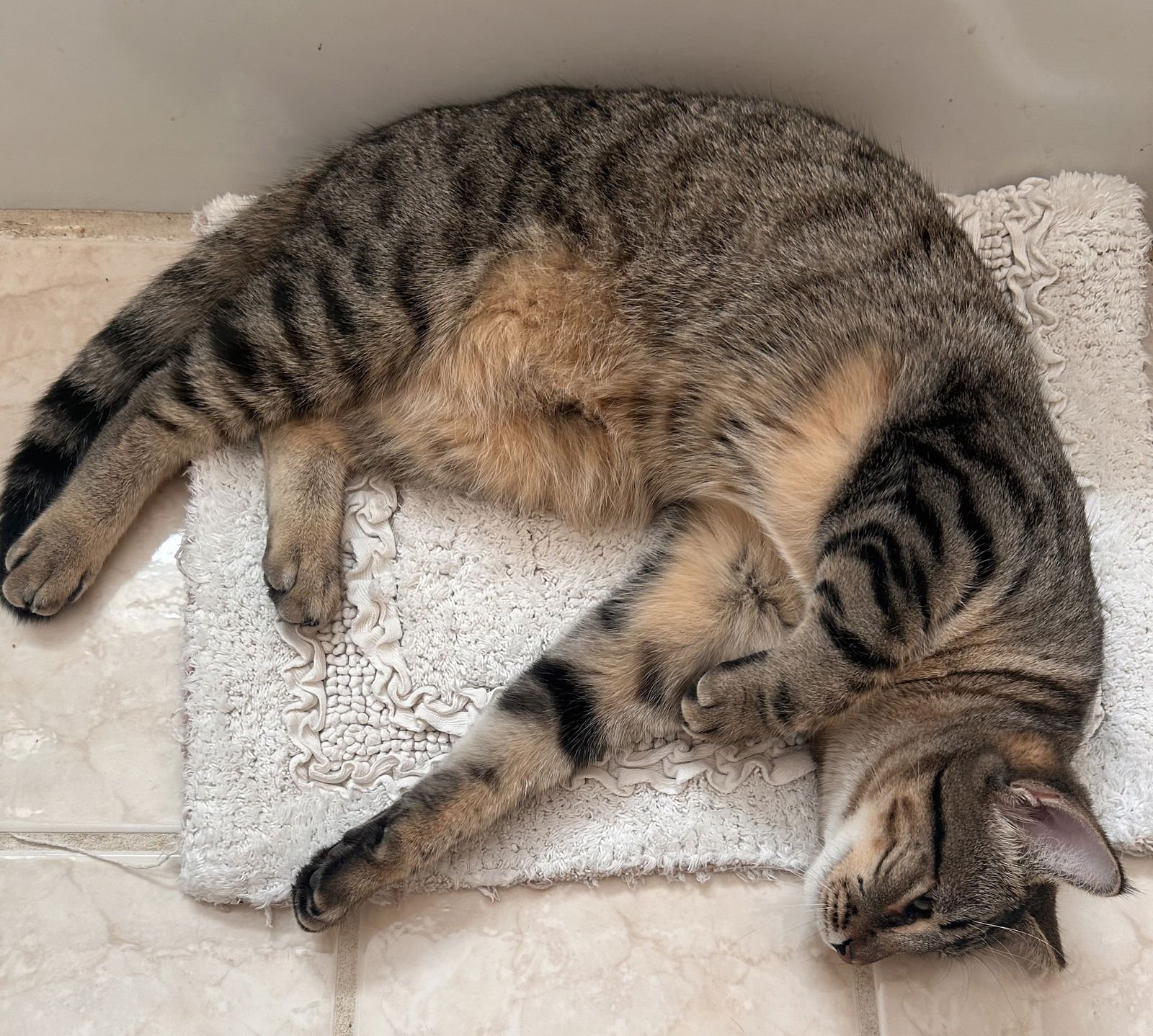 May #personality-plus - Photo 4