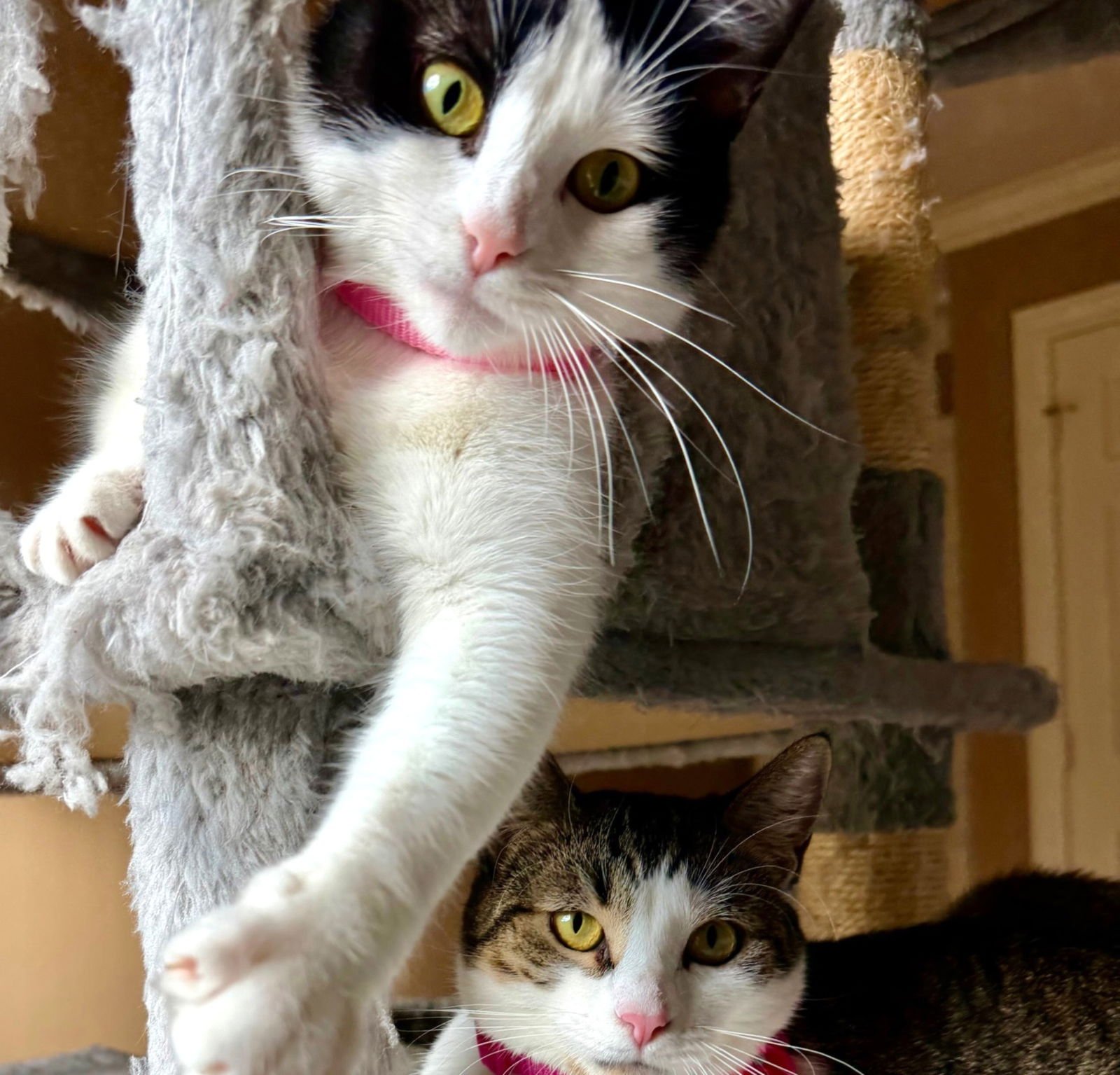 Winter & Summer #bonded-pair - Photo 5