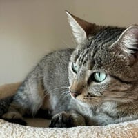 Willow #your-fast-friend - Photo 3