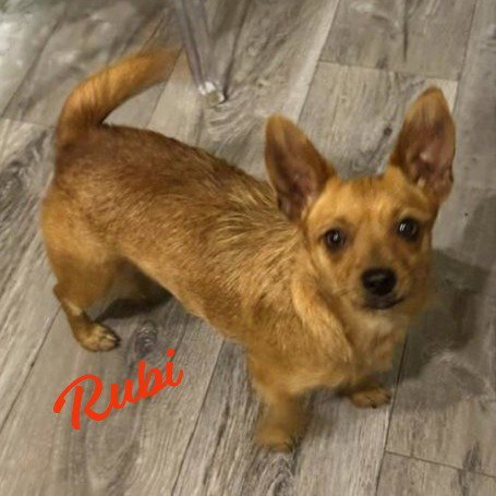 Rubi #bonded-to-Sophie Image