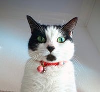Minnie Moo #love-machine - Photo 5
