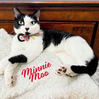 Minnie Moo #love-machine - Photo 1