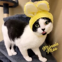 Minnie Moo #love-machine - Photo 10