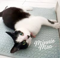 Minnie Moo #love-machine - Photo 8