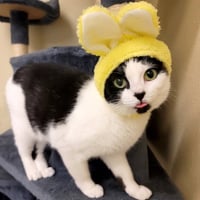 Minnie Moo #love-machine - Photo 4