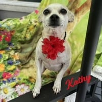 Kathy #bestie-of-Kate - Photo 1