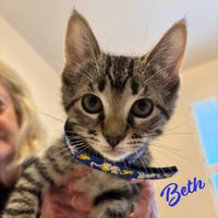 Beth #Little-Women-litter - Photo 1
