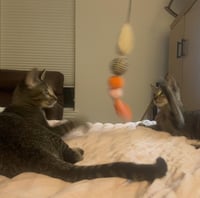 Dumpling & Dim Sum #bonded-brothers - Photo 8